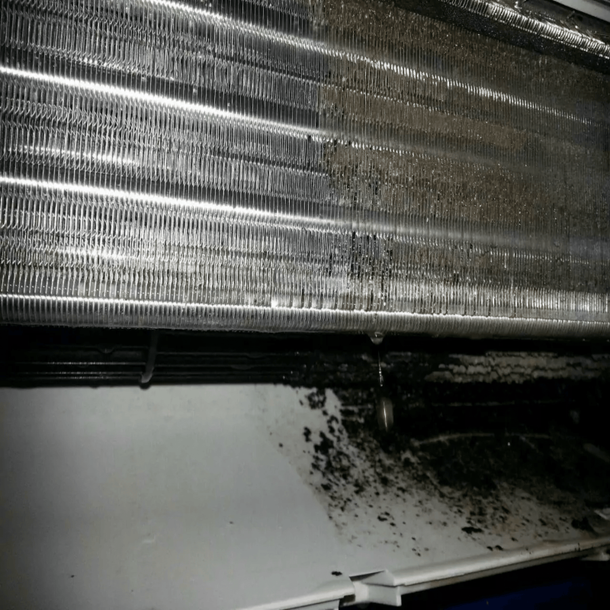 Bieffe Farinelli® - ARIASANA - Dampfreinigung von Klimaanlagen - www.pap-auto.ch