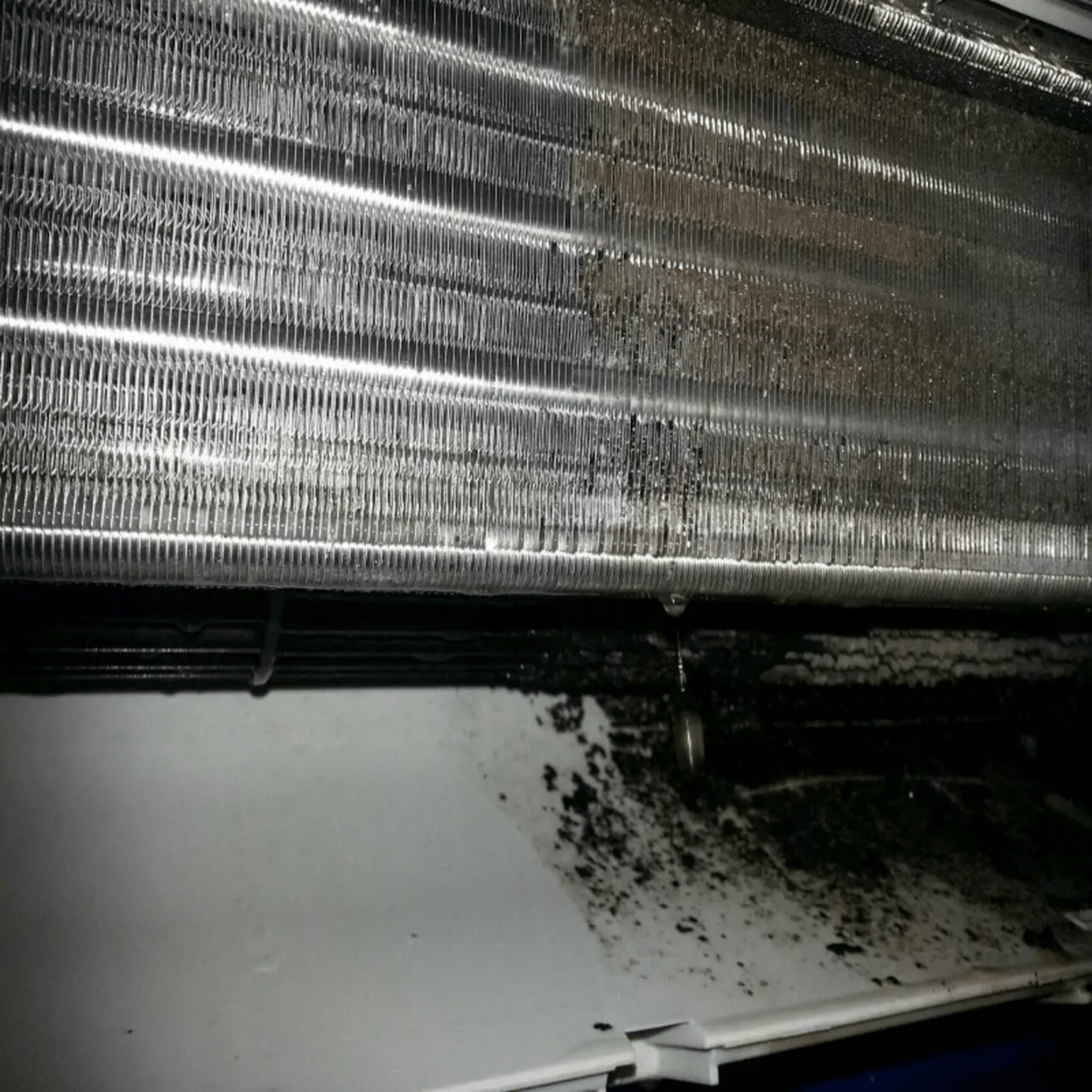 Bieffe Farinelli® - ARIASANA - Dampfreinigung von Klimaanlagen - www.pap-auto.ch