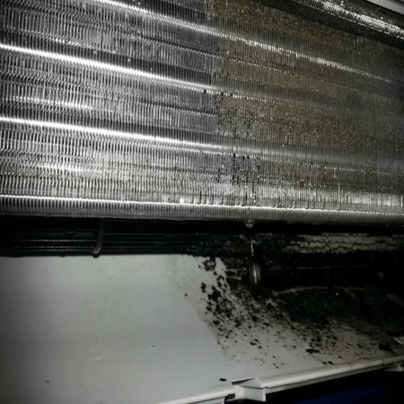 Bieffe Farinelli® - ARIASANA - Dampfreinigung von Klimaanlagen - www.pap-auto.ch