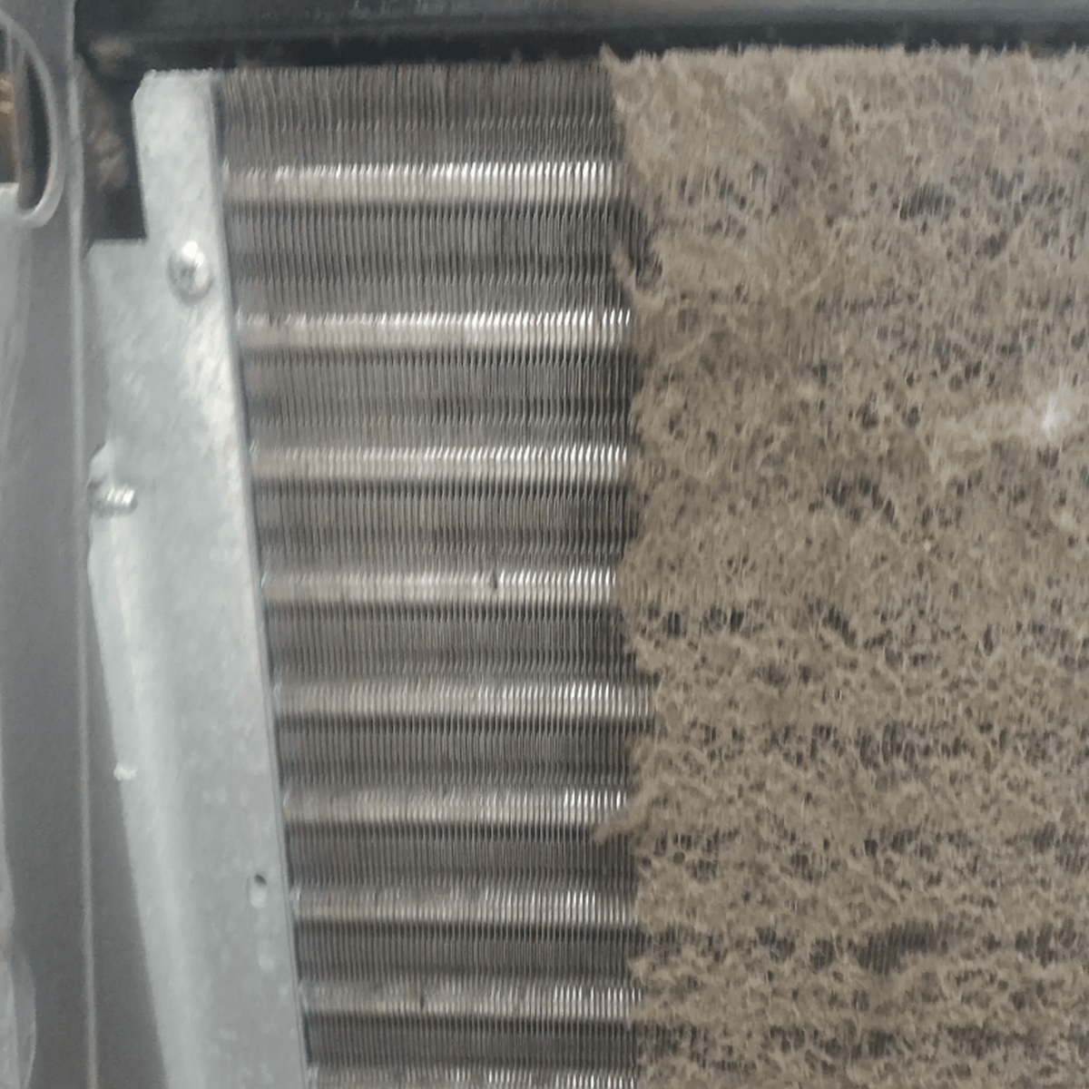 Bieffe Farinelli® - ARIASANA - Dampfreinigung von Klimaanlagen - www.pap-auto.ch